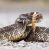 A final bite of wisdom