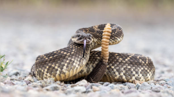 A final bite of wisdom