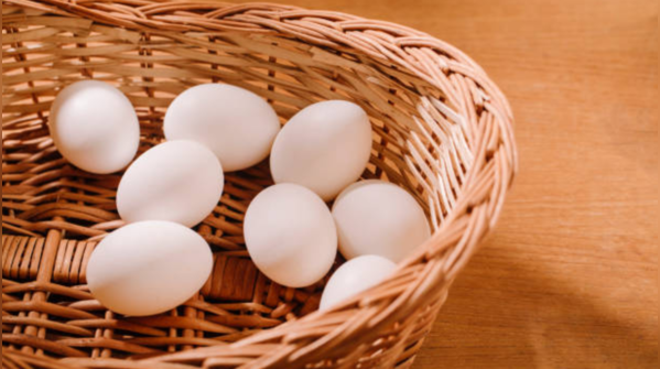 Eggs straight from the nest