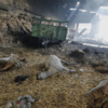 Portugal struggles with wildfires