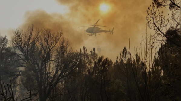 Fighting 12 wildfires at a time