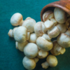 Mushrooms that lose their charm
