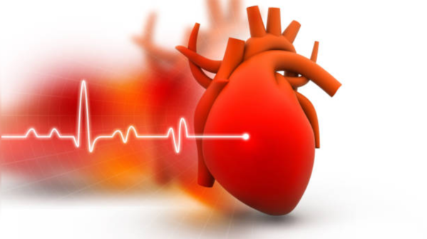 How is uric acid linked to heart disease?
