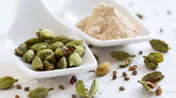 Antimicrobial and Infection- fighting properties