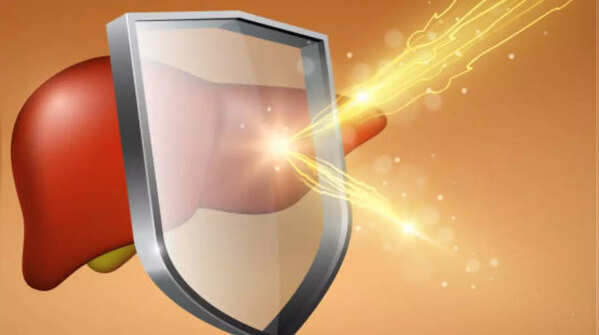 Safeguards the liver health