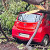 A tree fell in Indralok, Bhayandar East, on Tuesday morning. A car was damaged in the incident, but no injuries were reported. The MBMC fire brigade responded promptly, while the road remained blocked for traffic.