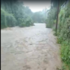 Maharashtra Rains: Water gushed onto the roads of Yeoor Hills, Thane, flowing like rivers and bringing traffic to a standstill.
