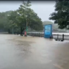 Due to heavy rains, Upvan Lake in Thane has started overflowing.