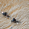 Article image for: Red alert amid monsoon <i class="tbold">mayhem</i>