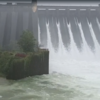 Maharashtra Rains Furry: Heavy discharge from Koyna Dam in Satara district. The administration has issued alerts to residents along the Koyna and Krishna rivers, as a sudden rise in water levels may occur.