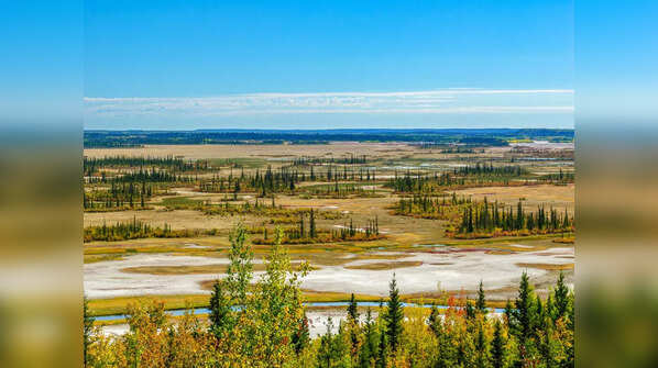 Wood Buffalo National Park, Canada