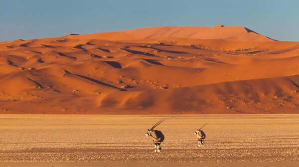 Namib-Naukluft National Park, Namibia