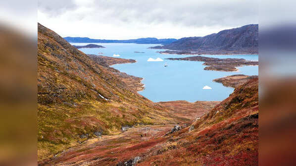 Northeast Greenland National Park, Greenland