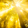 Chase the morning sunlight