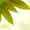 Symbolic of auspiciousness