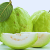 Guava for a healthy body