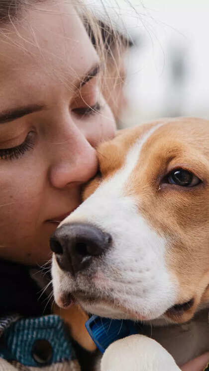 10 friendliest dog breeds ever – Perfect pets for first-time owners