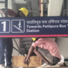 Patna Metro: A vision for urban mobility