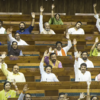 Parliamentary work slows since July 21