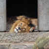 Family attractions
