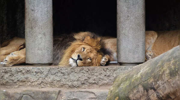 Family attractions