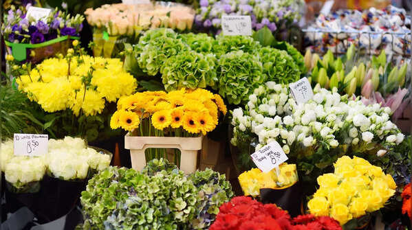 Local life, food and markets