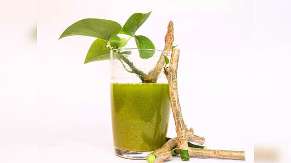 Giloy may treat dengue and Malaria