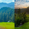 First impressions: Meadows vs. tea slopes