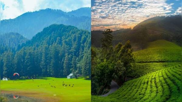 First impressions: Meadows vs. tea slopes