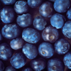 Blueberries