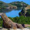 Komodo Island, Indonesia