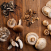 Mushrooms: nature’s exception