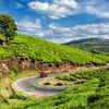 Munnar, Kerala