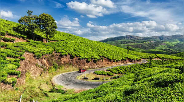 Munnar, Kerala