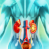 Kidney risk factors to know