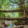 Article image for: Living Root Bridges of Meghalaya