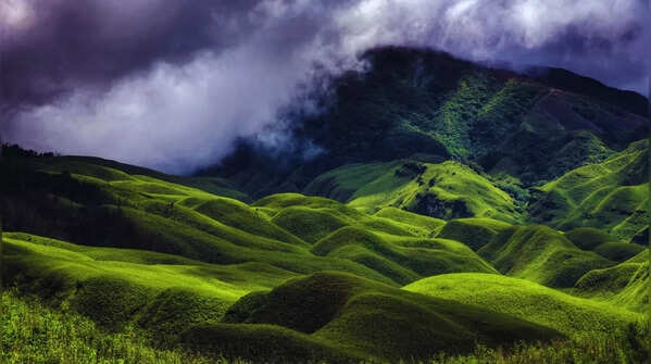 Dzukou Valley’s seasonal flower blooms in Nagaland-Manipur border