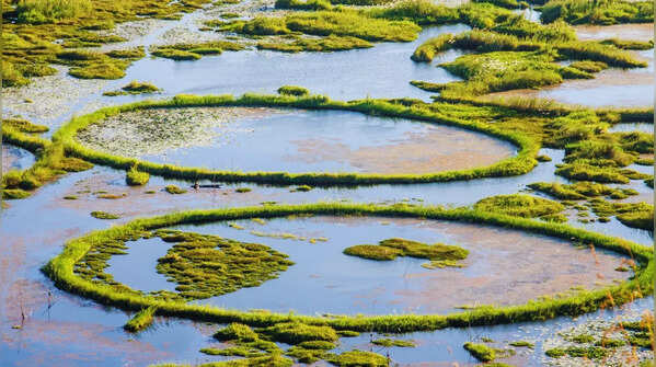 Floating phumdis of Loktak Lake in Manipur