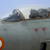 The backbone of Indian Air power