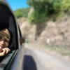 Let fresh air in