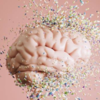 How purpose delays the onset of cognitive decline