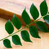 What does ayurveda say ?