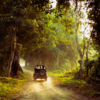 Satpura Tiger Reserve, Madhya Pradesh