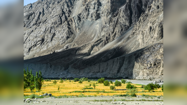 Turtuk, Ladakh<sub></sub>