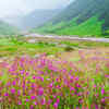 Valley of Flowers Trek (Uttarakhand)