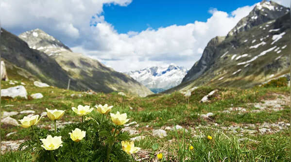 5 best trekking trails India for every explorer