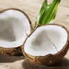 Coconut