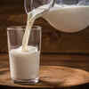 Milk: Indigestible by Most Adults