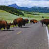 Lamar Valley
