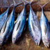 Mercury concerns